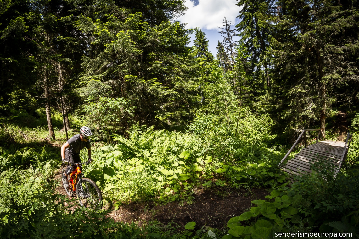 bike parks