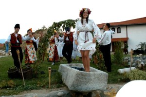 Vorführung im Weingut Starosel